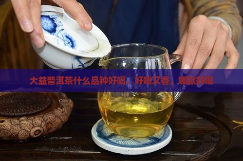 大益普洱茶什么品种好喝