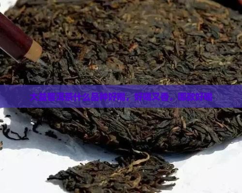 大益普洱茶什么品种好喝