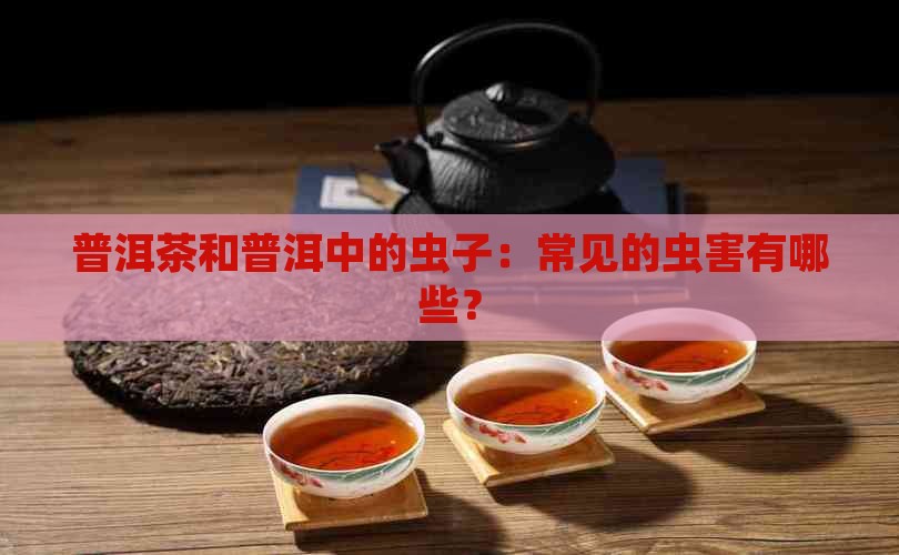 普洱茶一般生什么虫害的