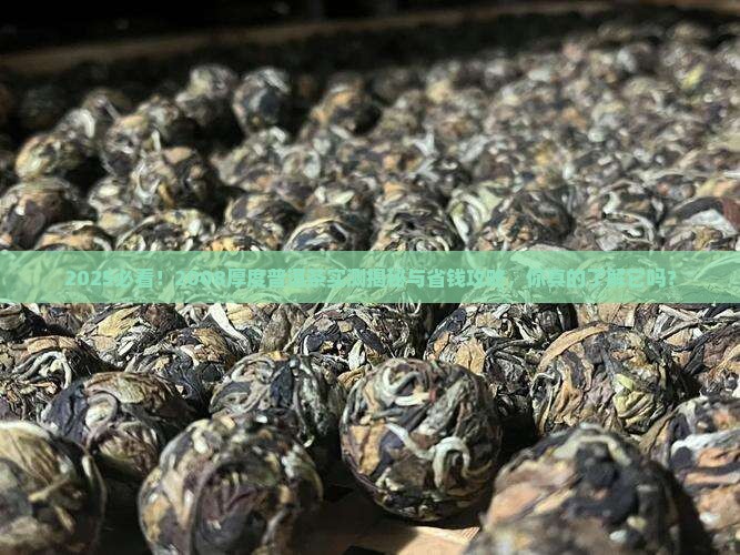 2008厚度普洱茶