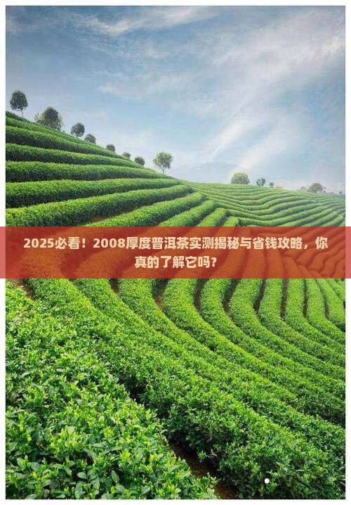 2008厚度普洱茶