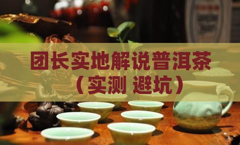 团长实地解说普洱茶