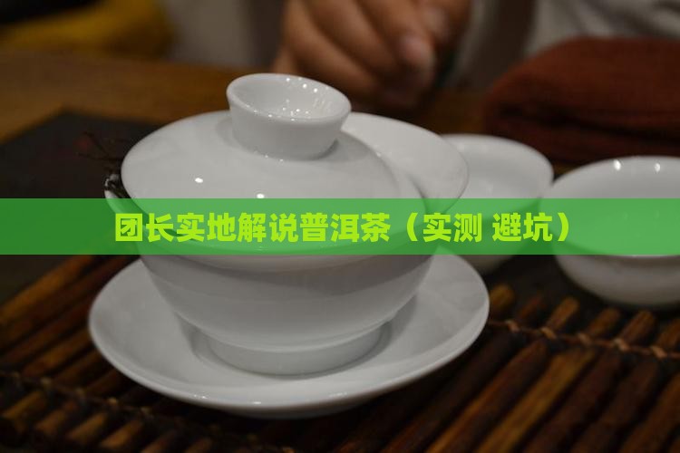 团长实地解说普洱茶