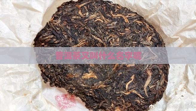 普洱茶又叫什么名字呢