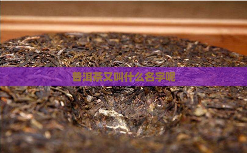 普洱茶又叫什么名字呢