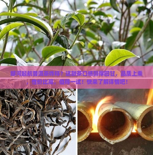 郎河起航普洱茶咋样