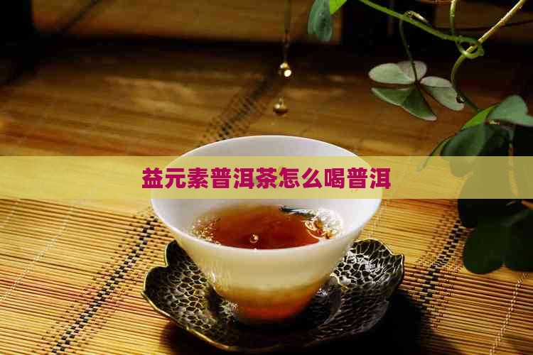 益元素普洱茶怎么喝