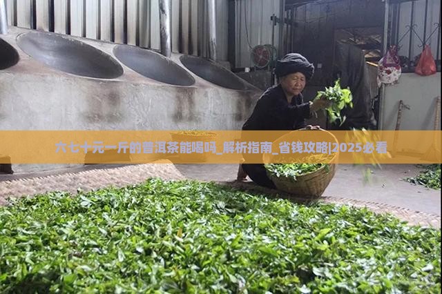 六七十元一斤的普洱茶能喝吗