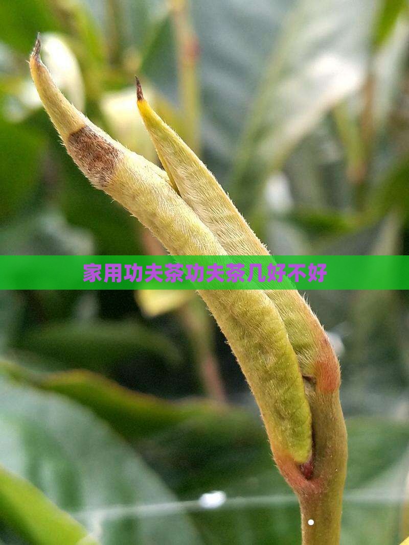 家用带功夫茶的茶几好不好 家用带功夫茶的茶几好不好