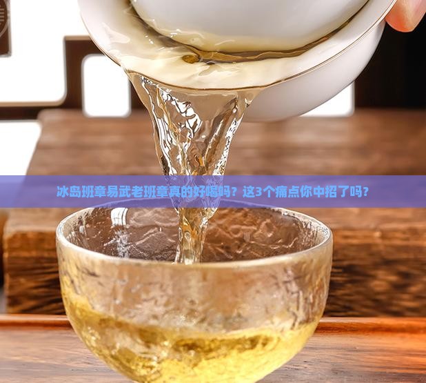 冰岛班章易武老班章口感描述