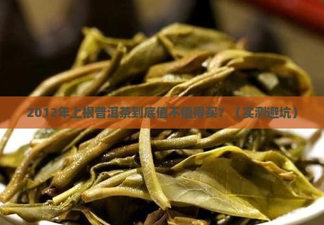 2012年上根普洱茶