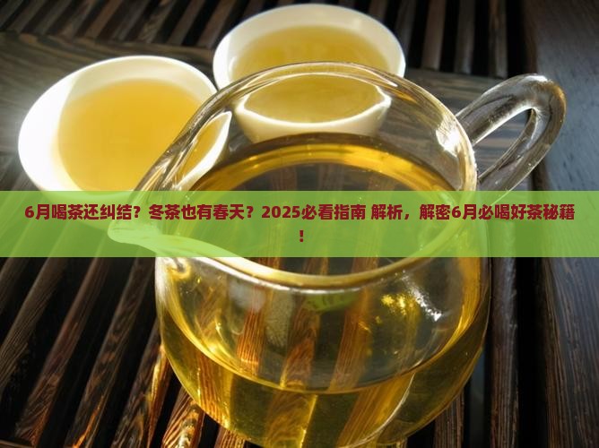 冬茶的特点6月喝什么茶