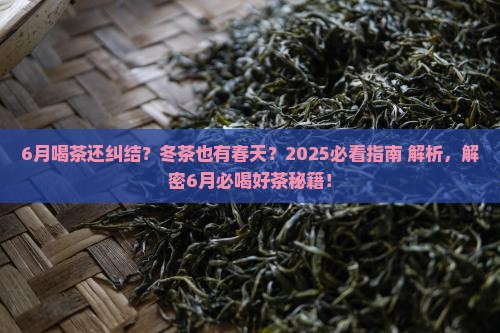 冬茶的特点6月喝什么茶