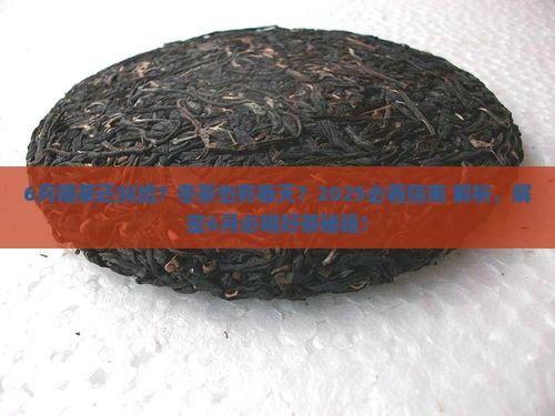 冬茶的特点6月喝什么茶