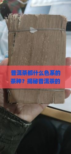 普洱茶都什么色系的茶种
