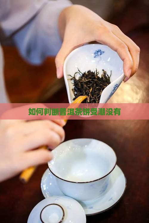 如何判断普洱茶饼受潮没有