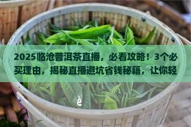 临沧精选普洱茶直播