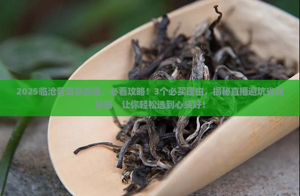 临沧精选普洱茶直播