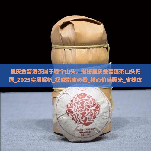 里皮金普洱茶属于哪个山头