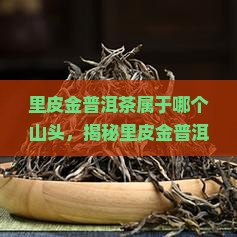 里皮金普洱茶属于哪个山头
