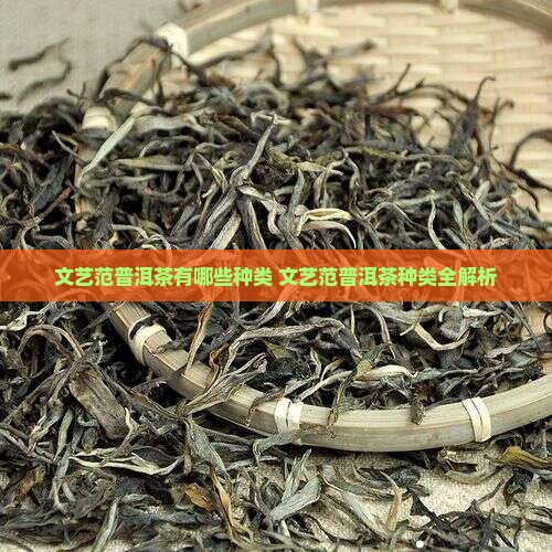 文艺范普洱茶有哪些种类