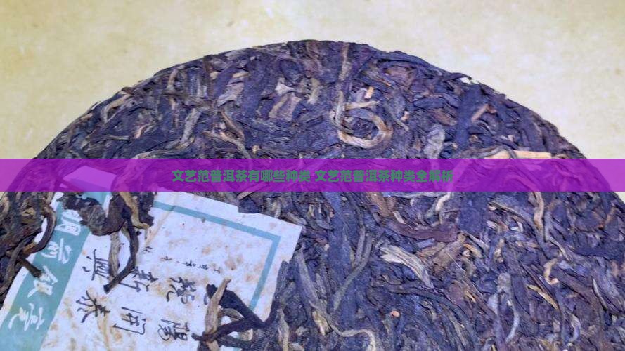 文艺范普洱茶有哪些种类
