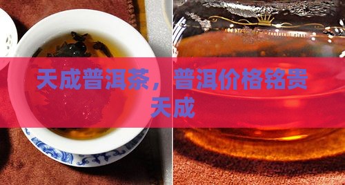 铭贵天成普洱茶