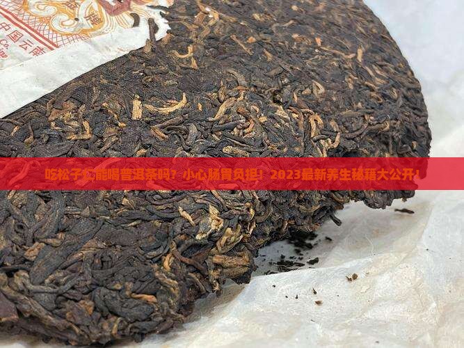 吃松子仁能喝普洱茶吗