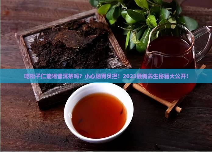 吃松子仁能喝普洱茶吗