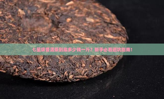 普洱茶七星级多少钱一斤