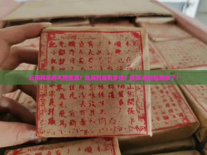 云南邦东乔木熟普洱