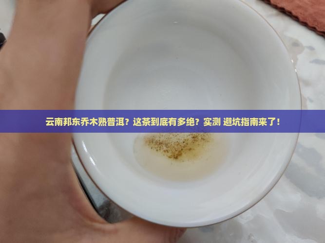 云南邦东乔木熟普洱
