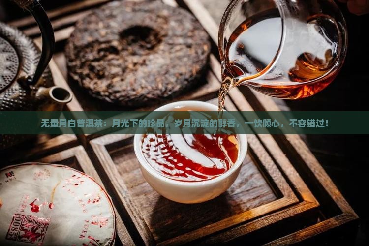 无量月白普洱茶