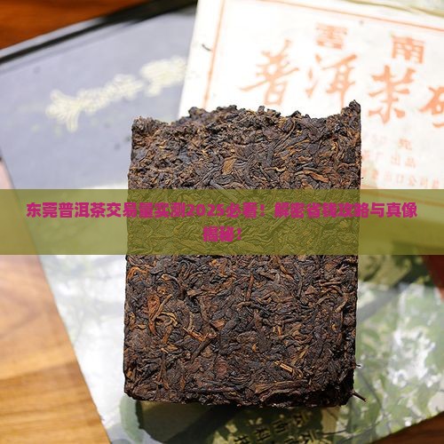 东莞普洱茶交易量