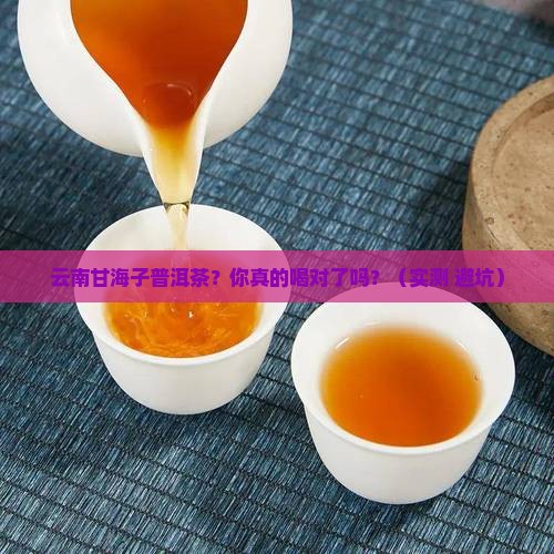 云南甘海子普洱茶
