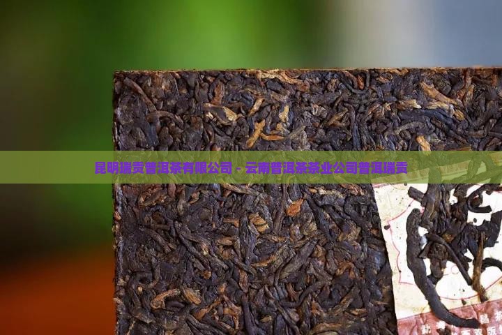 昆明瑞贡普洱茶有限公司