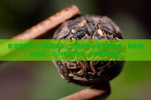 普洱茶新手几点实用建议