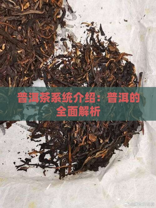 普洱茶系统介绍