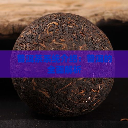 普洱茶系统介绍