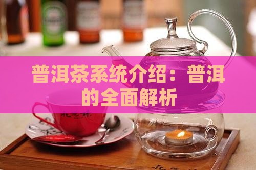 普洱茶系统介绍