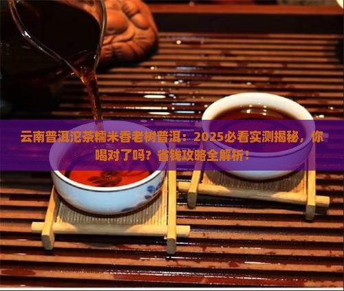 云南普洱沱茶糯米香老树普洱