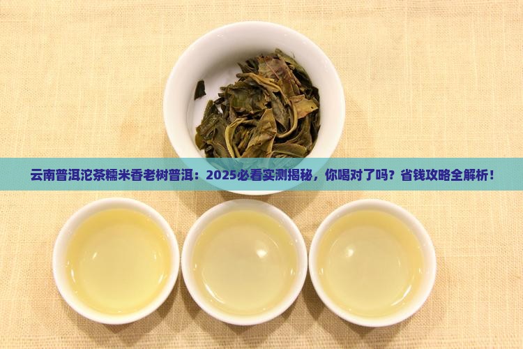 云南普洱沱茶糯米香老树普洱