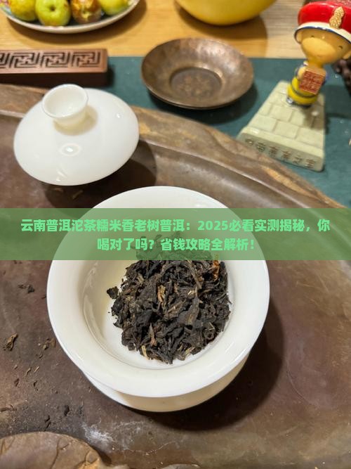 云南普洱沱茶糯米香老树普洱