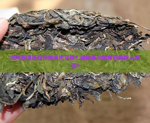 为何普洱茶现在做头把交椅