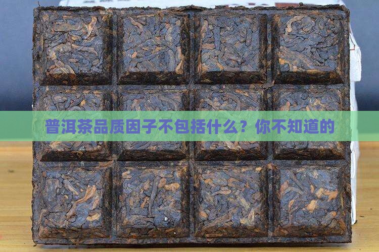 普洱茶品质因子不包括