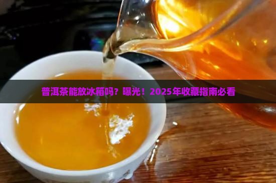 普洱茶可以放在冰箱吗