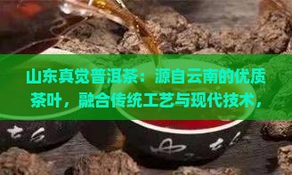 山东真觉普洱茶