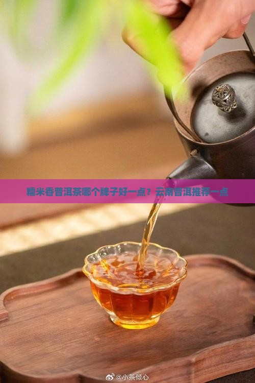糯米香普洱茶哪个牌子好一点？云南普洱推荐一点