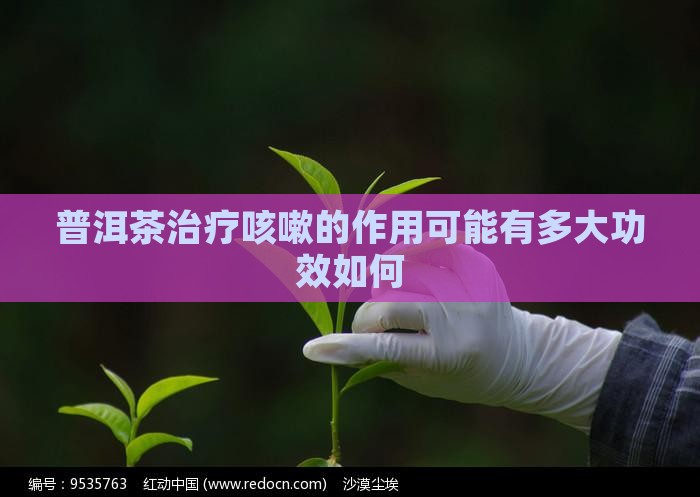 普洱茶治疗咳嗽的作用可能有多大功效如何
