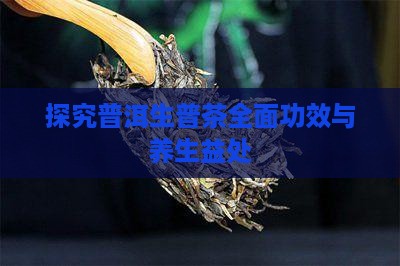 探究普洱生普茶全面功效与养生益处